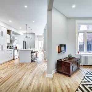 Fully renovated apartment in the old part of Montreal