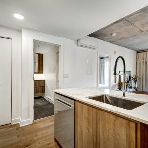 Modern apartment in new apartment building in Griffintown, Montreal, Canada with bathroom and closets, balcony and exterior